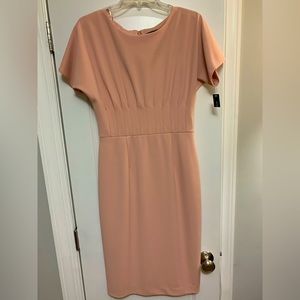 NWT Antonio Melani Cap Sleeve Dress Sz. 6.  Beautiful pinkish peach hue!